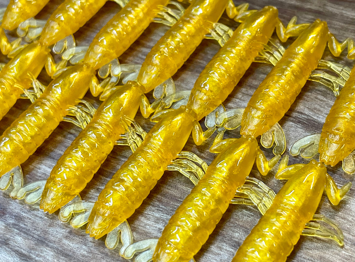 Golden Mantis Shrimp. 7 pack