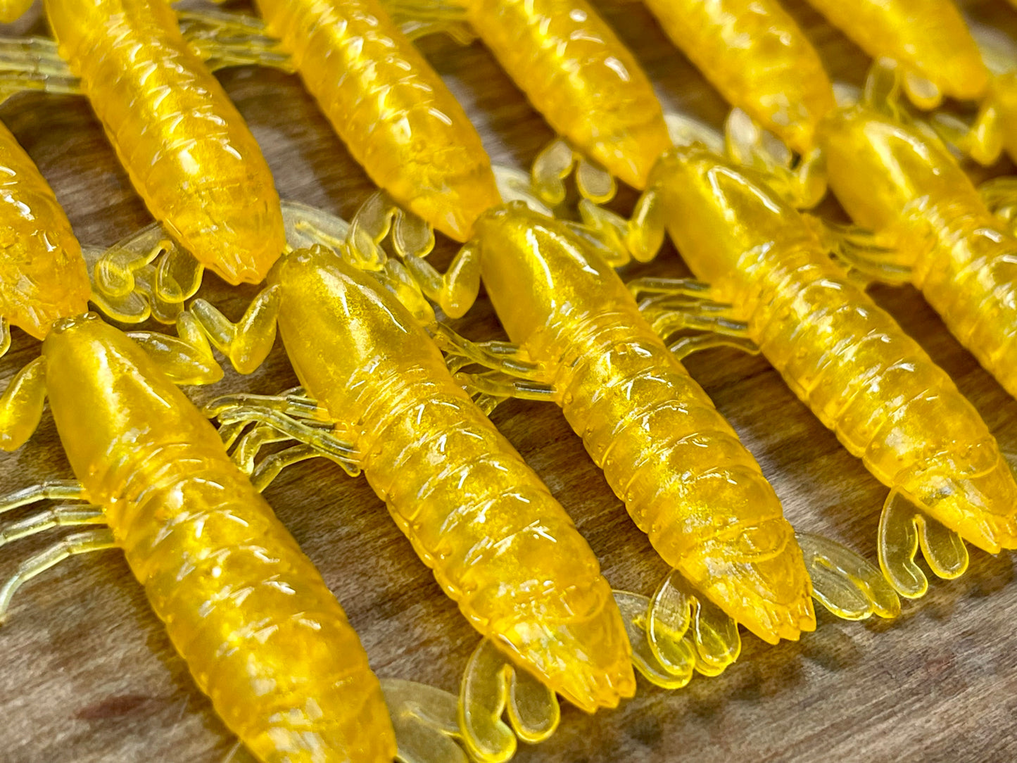 Golden Mantis Shrimp. 7 pack