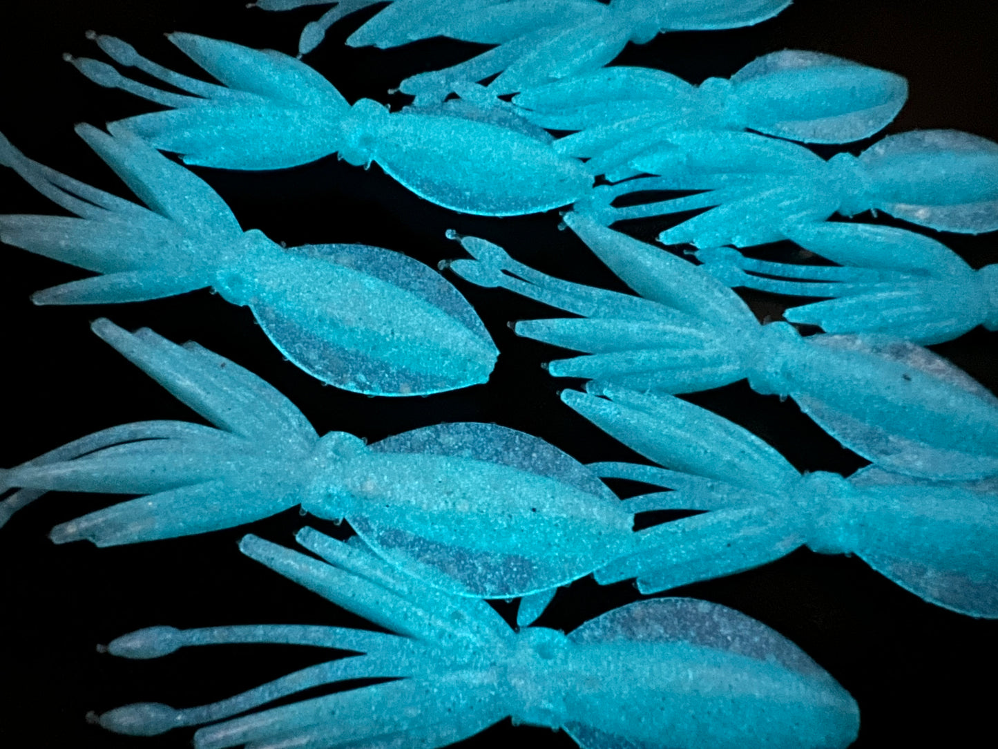 NEW SHAPE 2.75" Ika (Squid) Alpha Obake 4 pack. (Glow)