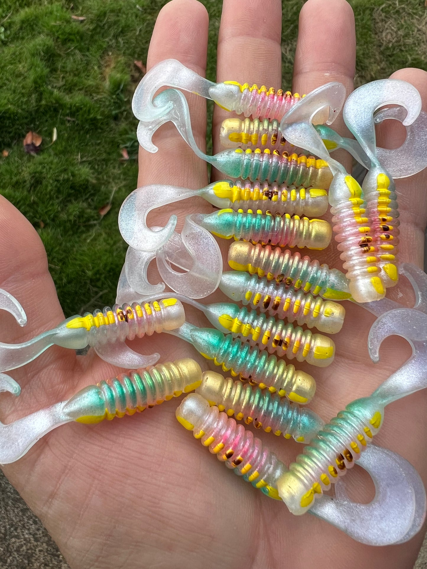First run Oama-S Chargers. 8 pack