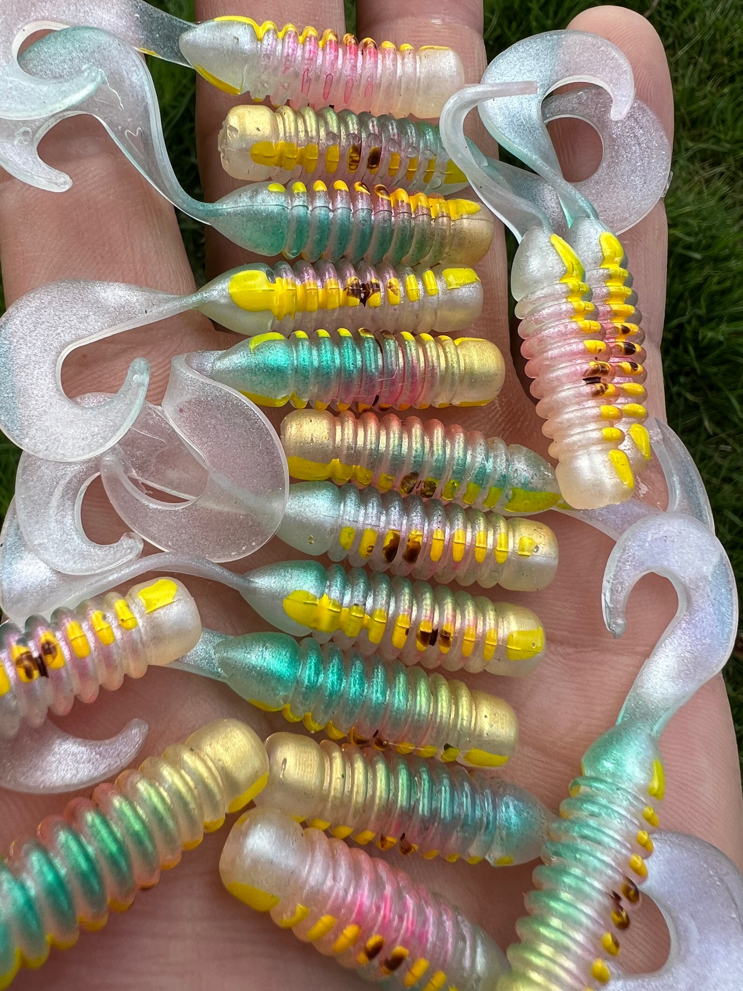 First run Oama-S Chargers. 8 pack