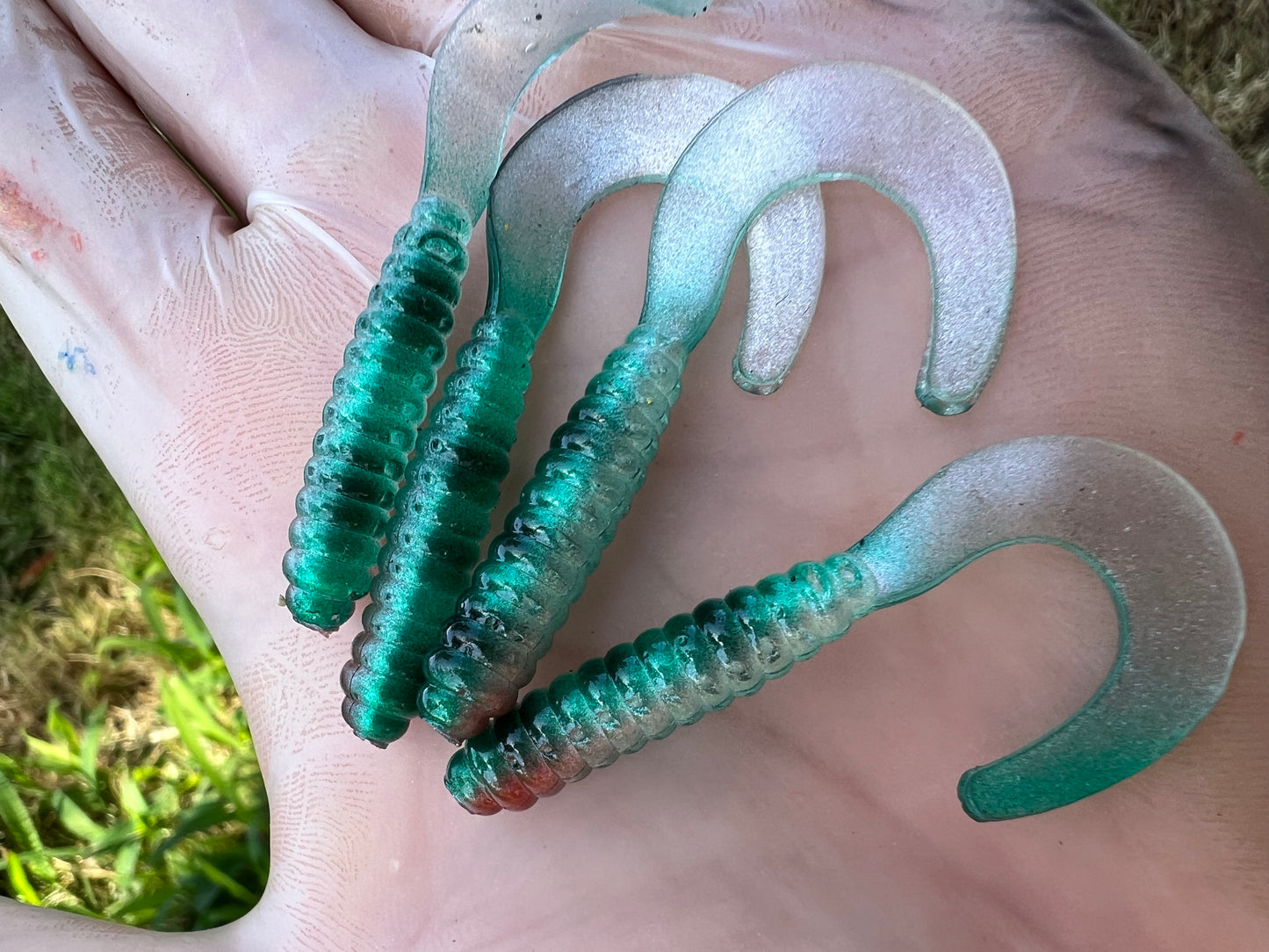 Limited One time Drop Mamo Grubs. 10 pack