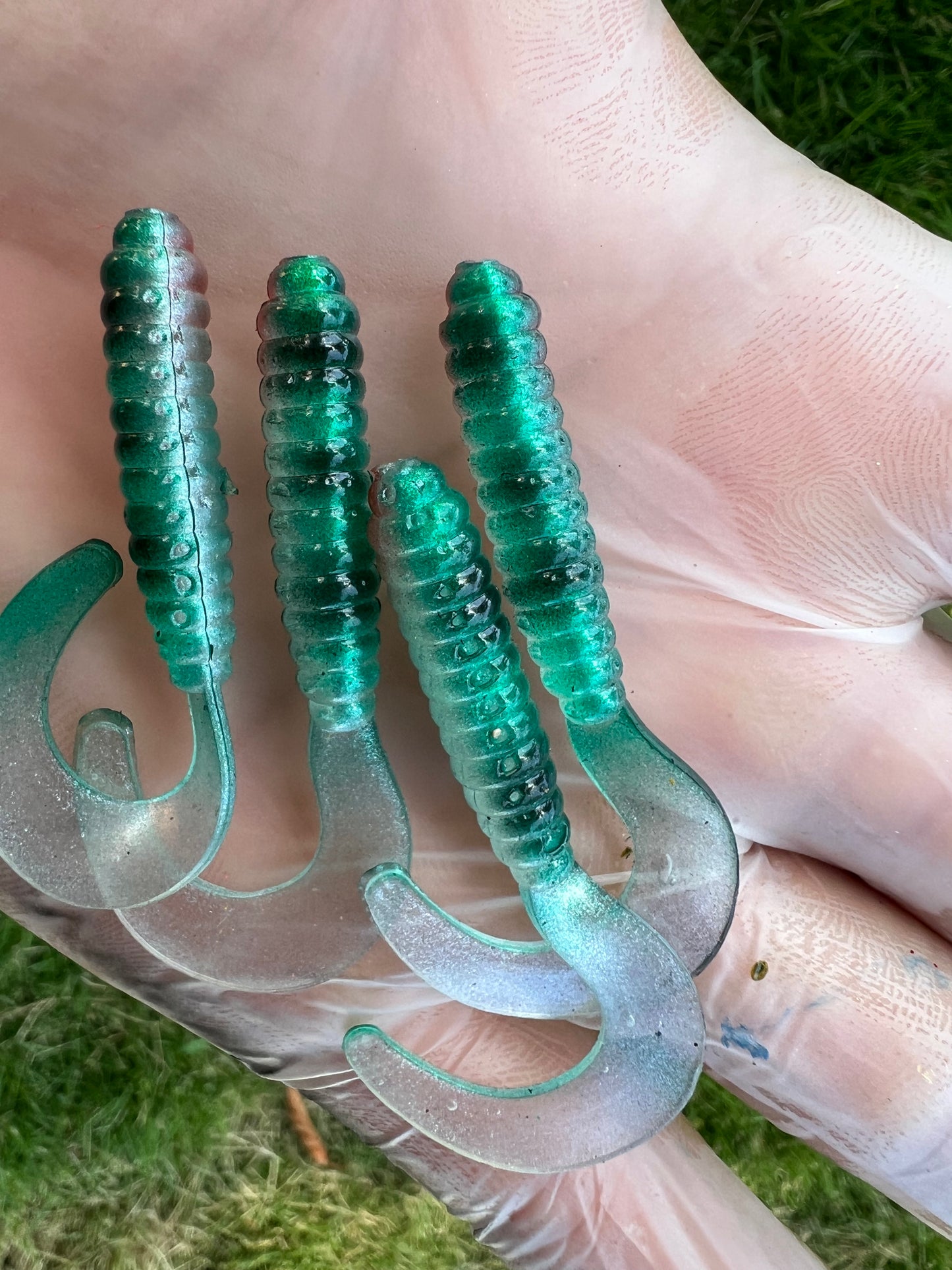 Limited One time Drop Mamo Grubs. 10 pack