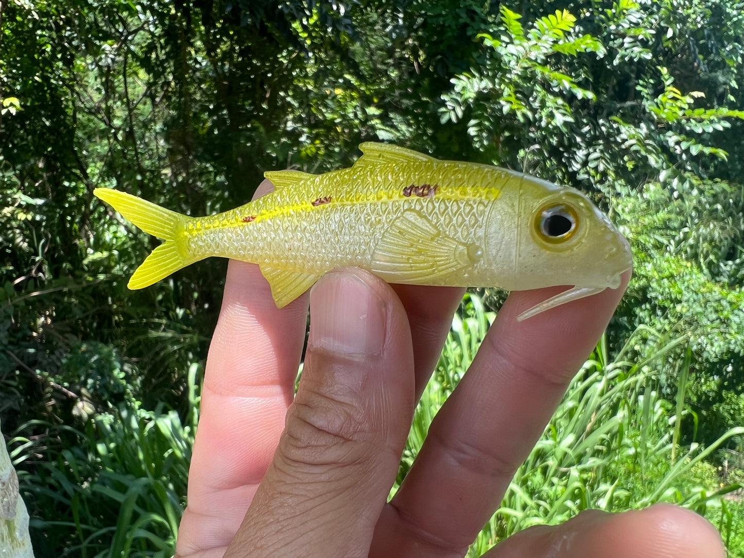 4" Weke Soft bait.