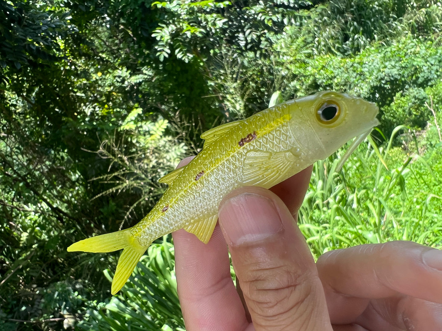 4" Weke Soft bait.