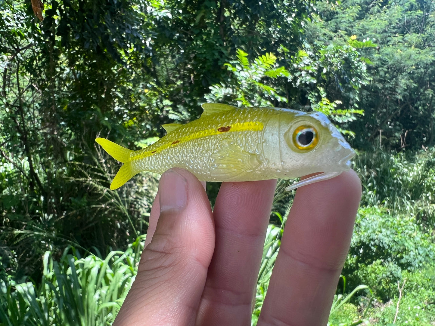 4" Weke Soft bait.