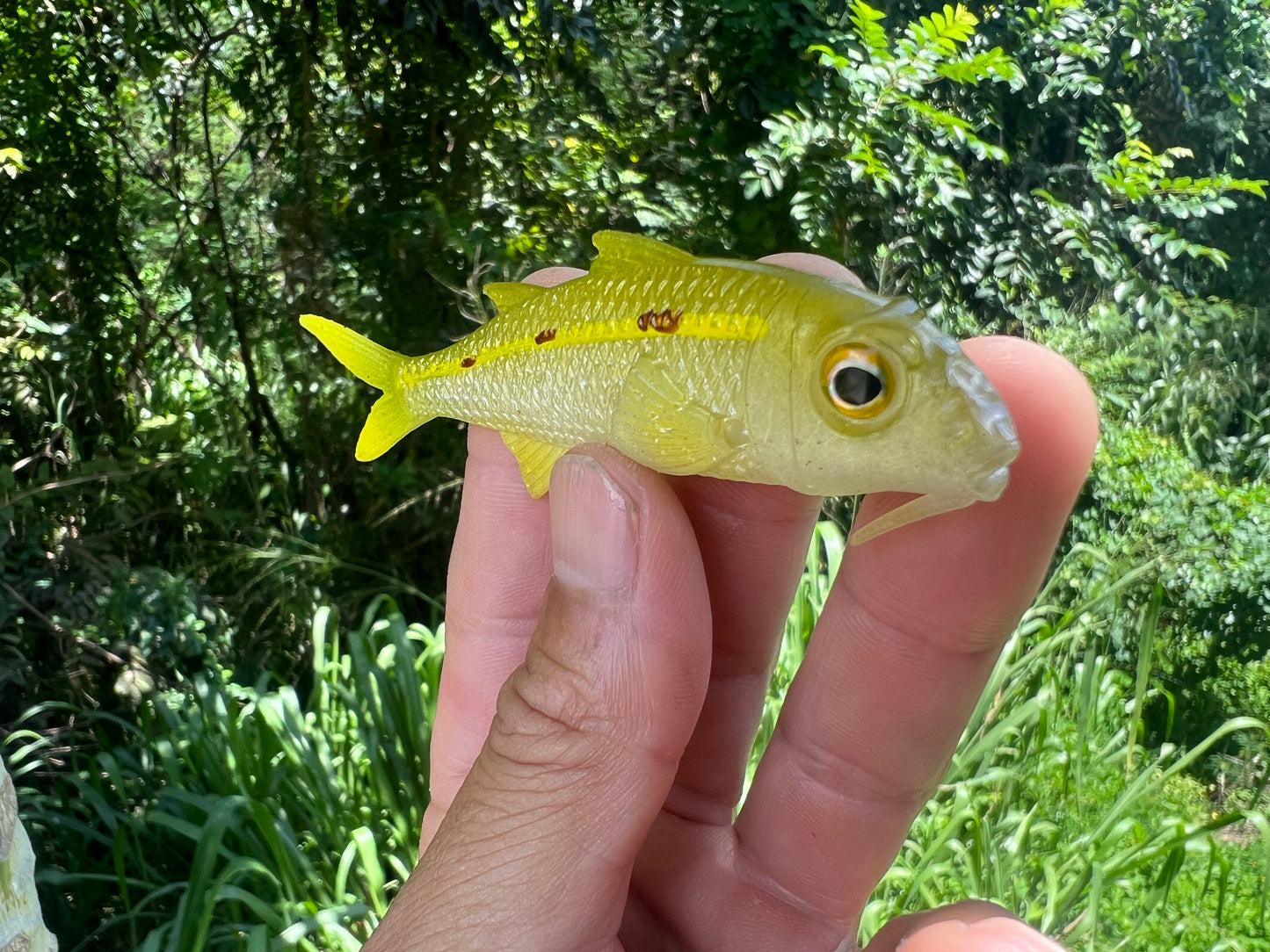 4" Weke Soft bait.
