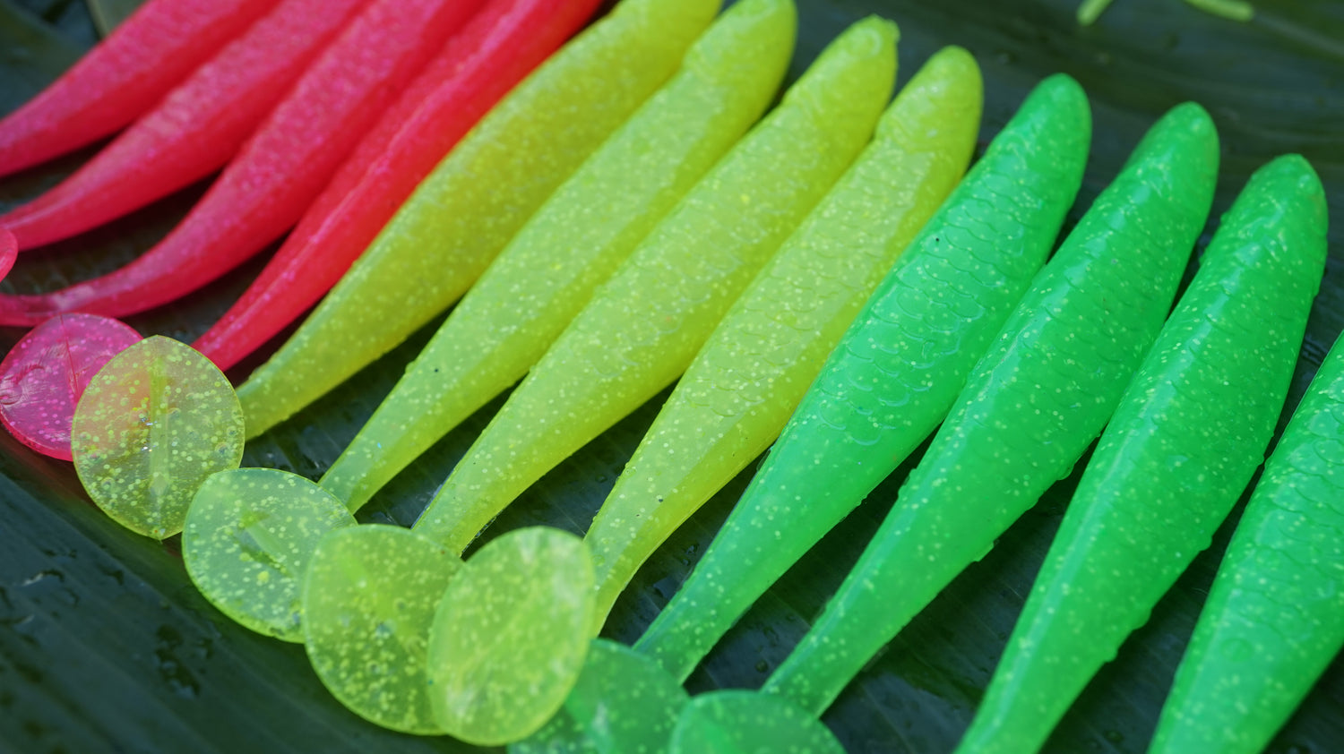 4" Warhead Paddletails