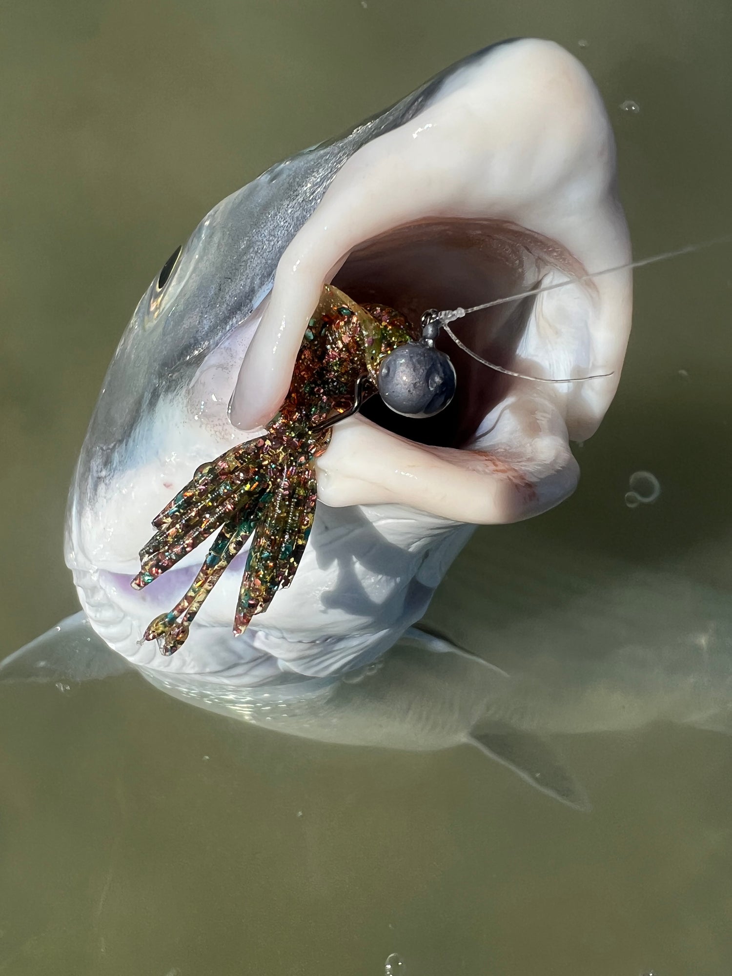 Jigheads and Specialty Hooks.