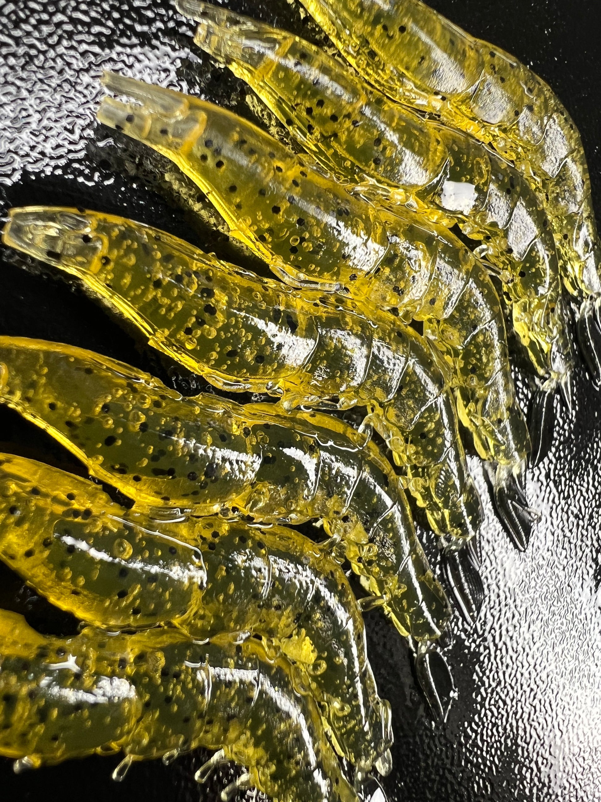 1.5” Ghost Opae with Shrimp Oil OTR. 7 pack