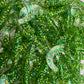 Limited St. Mantis Grubs. 25 pack