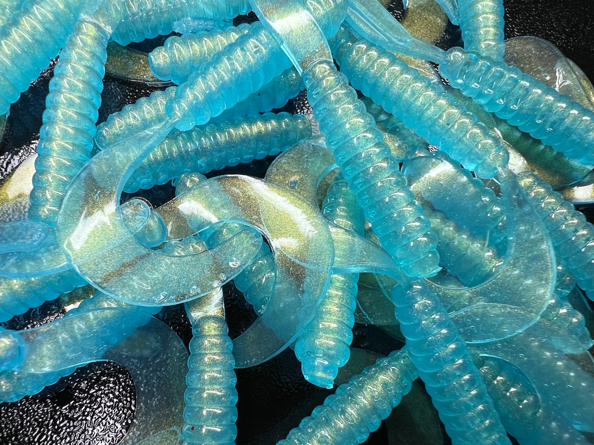 Blue Halalu Limited Run 25 Grubs.