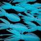 NEW SHAPE 2.75" Ika (Squid) Alpha Obake 4 pack. (Glow)