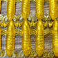 Golden Mantis Shrimp. 7 pack