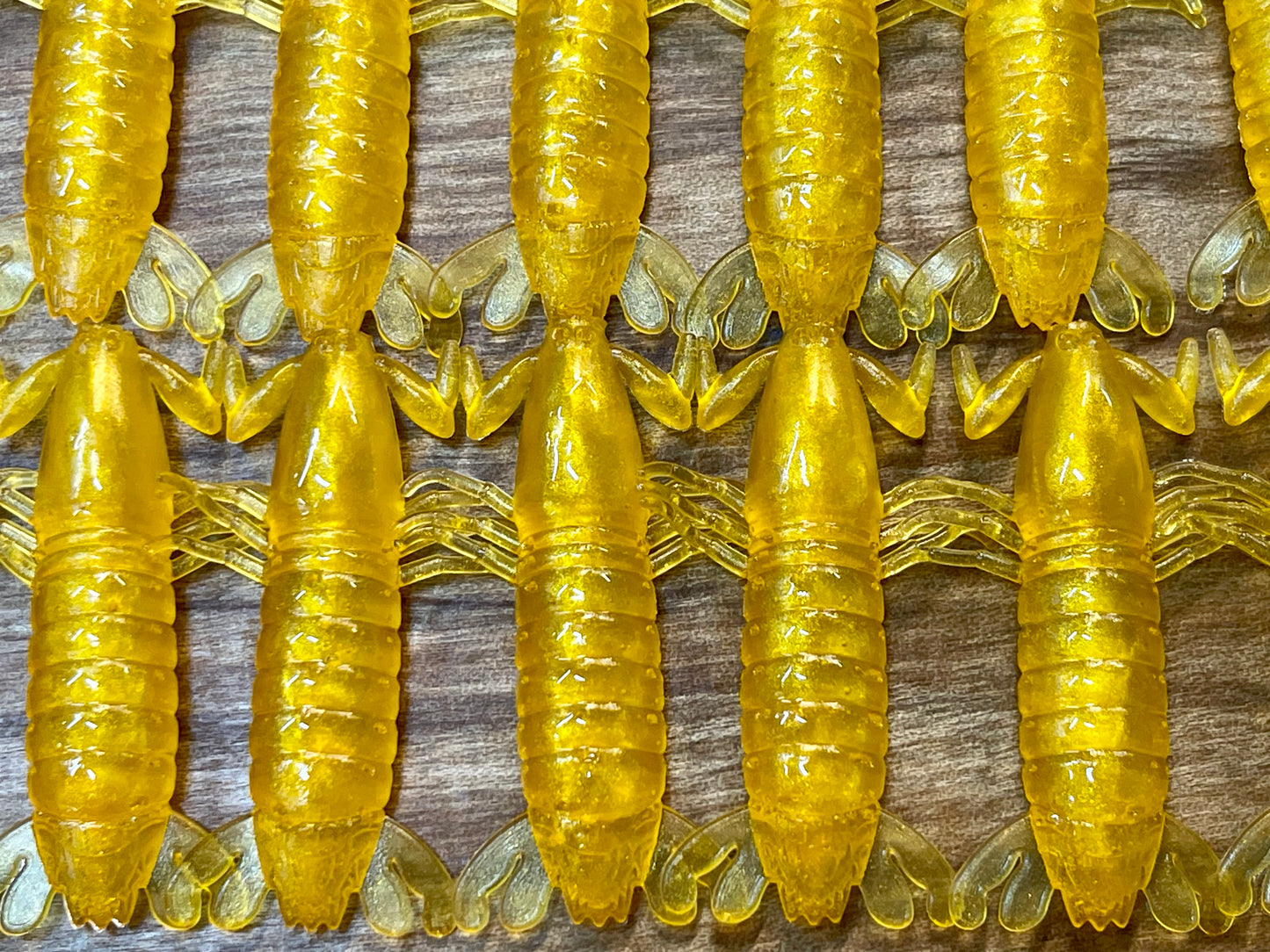 Golden Mantis Shrimp. 7 pack