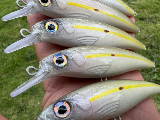 Products – Campania Lures