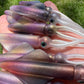 4" Black Ika. 2 pack