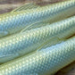 NEW 4" Lizard Fish Paddletail.
