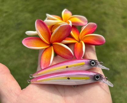 PREORDER Round 2 CLOSED. 3.5" Plumeria Oama Diver 6 Grams.