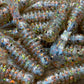 Limited ONE TIME DROP Freckled Hawkfish.