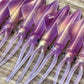 4" Island Ika's Glow. 2 pack