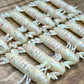 Natural1 Mantis Shrimp. 7 pack