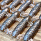 Obake Brownie Mantis Shrimp. 7 pack