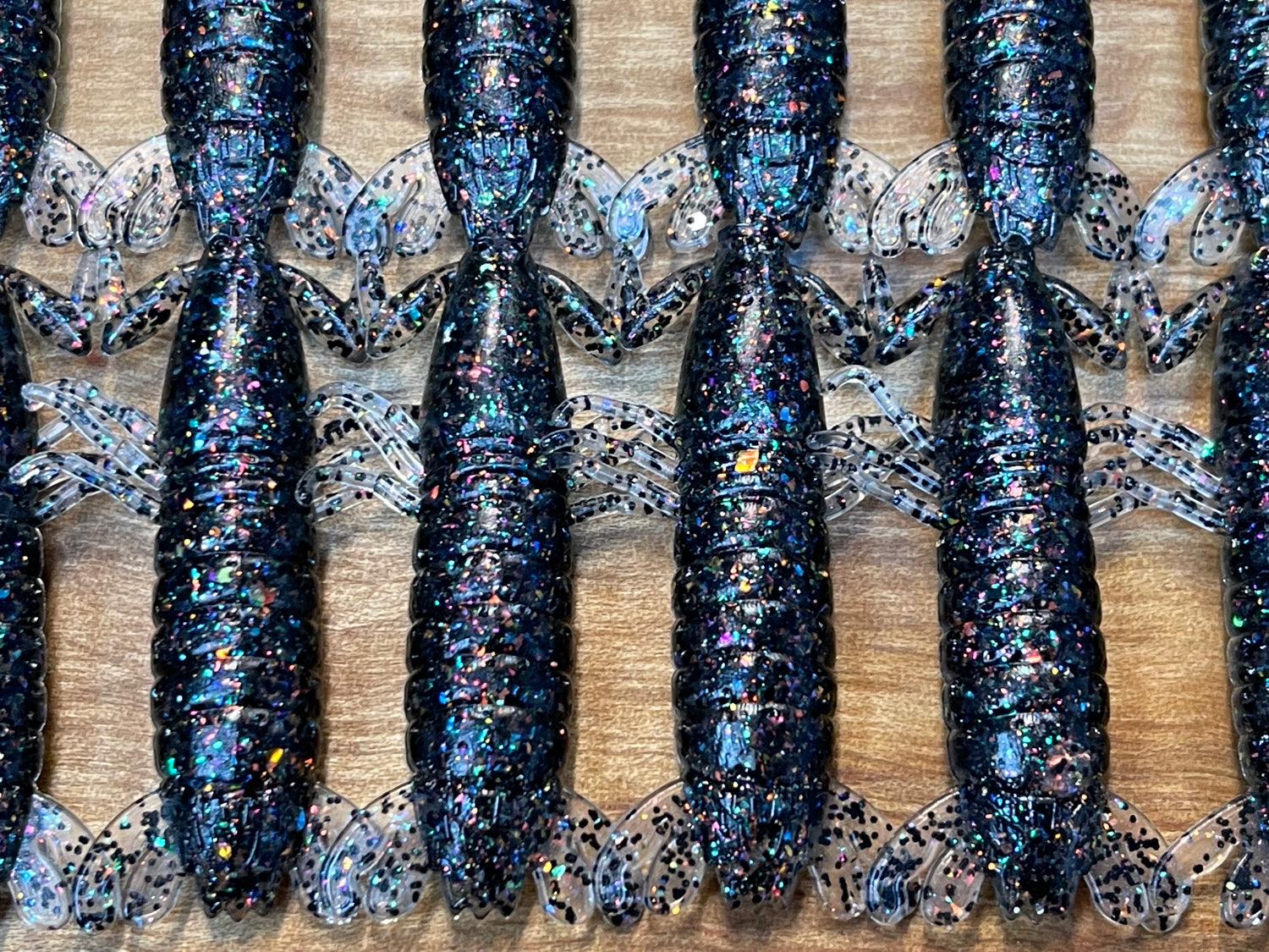 1.6" Mantis Shrimp.
