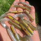 Final Run Oama-R Grubs. 10 pack
