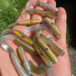Final Run Oama-R Grubs. 10 pack