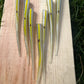 LIMITED One time drop. Hand Painted Oama-R Papio Strips. 10 pack