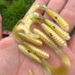 Limited First Run Oama-GT Grubs.