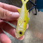 4" Weke Soft bait.