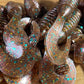 Mint Chocolate (Chameleon) Chargers. Packs of 8