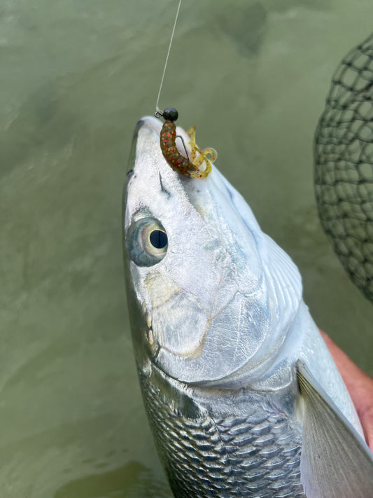 Ball Jighead Size 1 Weedless Hook.
