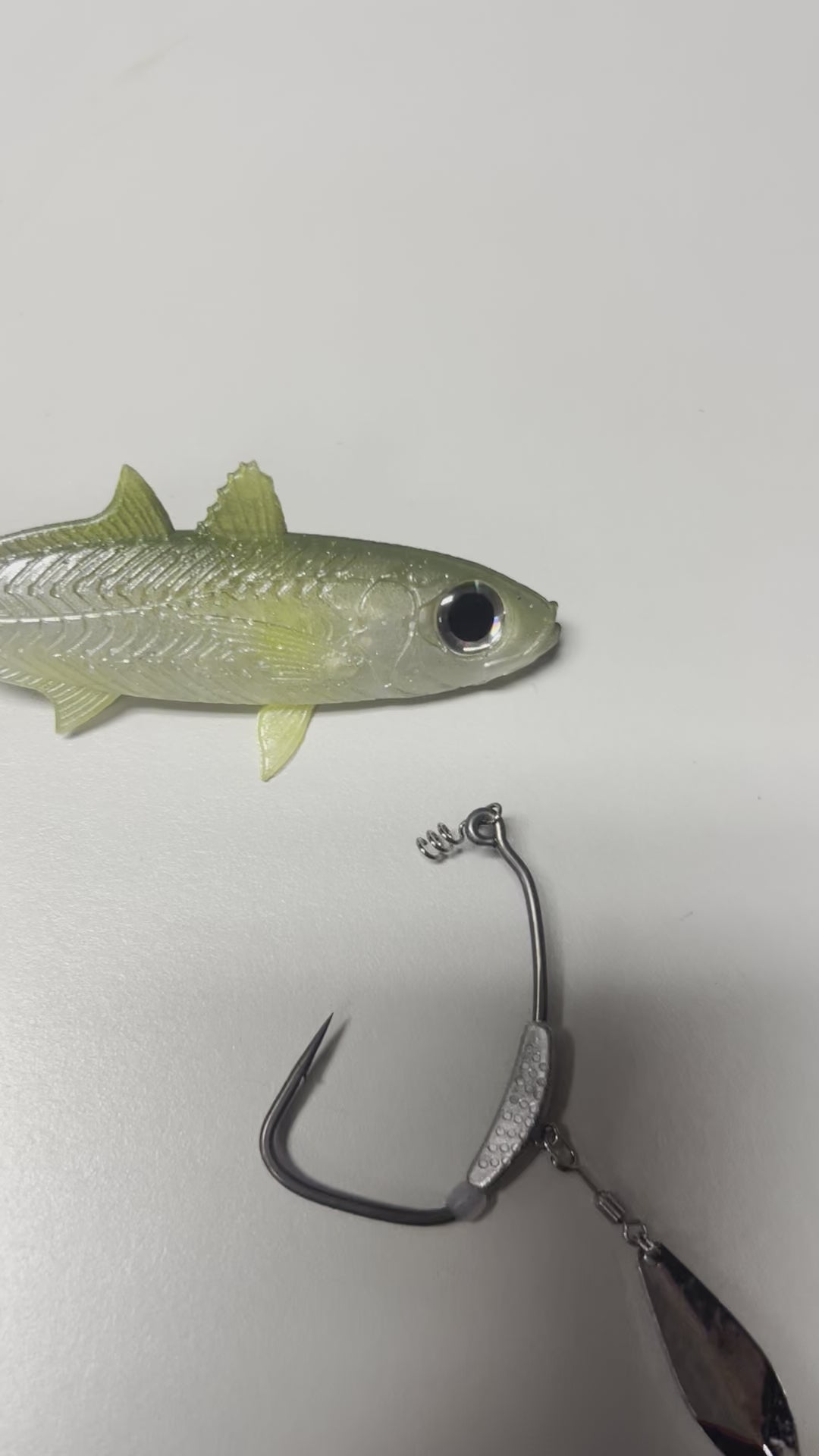 Halalu (Big Eye Scad) Paddletail. – Campania Lures
