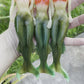 8” Mermaid Soft bait.