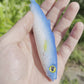 NEW 6" Ultra White Opelu Soft Bait.