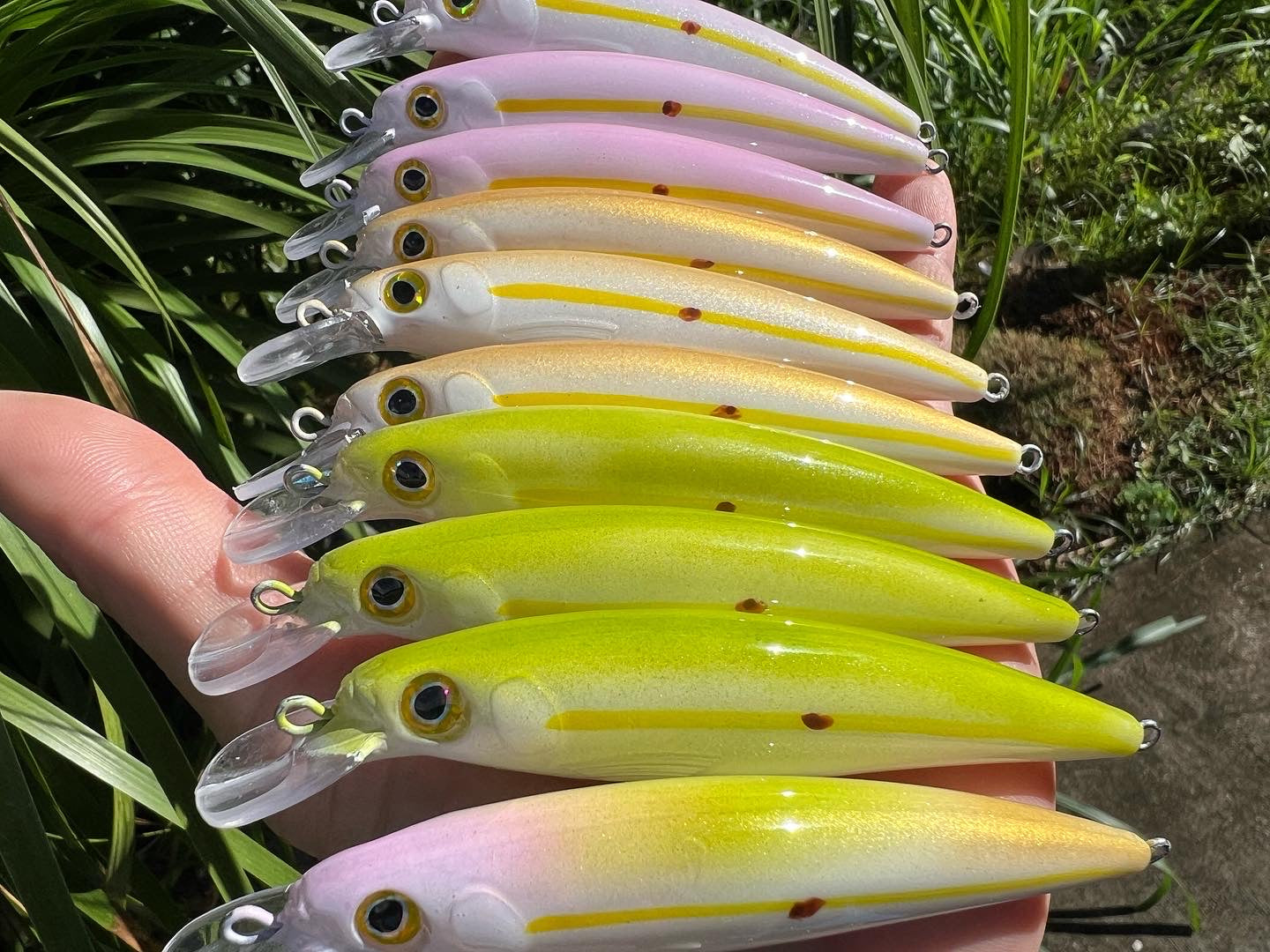 BULK 10 Oama's, 4.5" Papio Diver sets. SAVE! SAVE! SAVE!