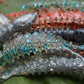 Heritage Colorway for Serpents, 20+ colors to choose from!