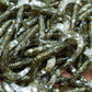 Electric Hotmess Grubs. 25 Pack