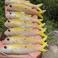4" Custom Oama Soft bait. Sold individually.