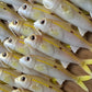 4" Custom Oama Soft bait. Sold individually.