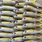4" Custom Oama Soft bait. Sold individually.