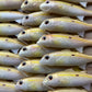 4" Custom Oama Soft bait. Sold individually.