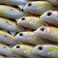 4" Custom Oama Soft bait. Sold individually.