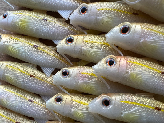4" Custom Oama Soft bait. Sold individually.