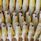 4" Custom Oama Soft bait. Sold individually.