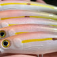 4.5" Standard Oama Scheme, Papio Diver Comes with hooks and split rings.