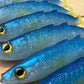 6" Exclusive Opelu Custom Soft bait.